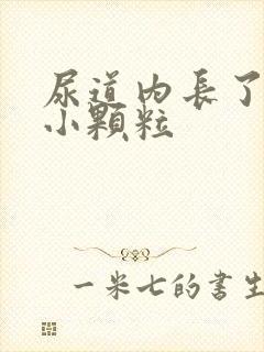 尿道内长了很多小颗粒