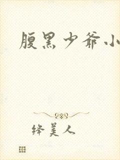 腹黑少爷小甜妻