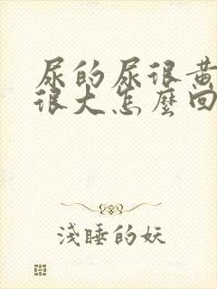 尿的尿很黄味道很大怎么回事