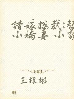 错嫁总裁:替身小娇妻 小说