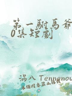 第一驸马爷100集短剧