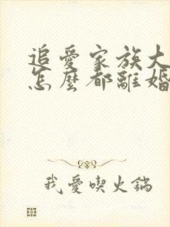 追爱家族大结局怎么都离婚了