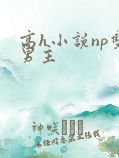 高h小说np双男主