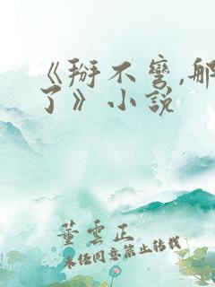 《掰不弯,那算了》小说