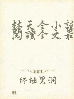 林天全小说免费阅读全文最新章节