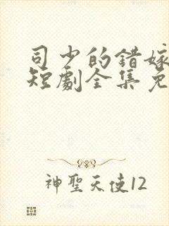 司少的错嫁新娘短剧全集免费版