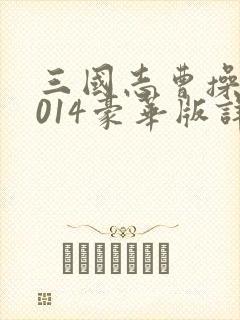 三国志曹操传2014豪华版详细攻略