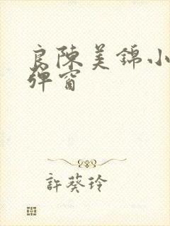 良陈美锦小说无弹窗