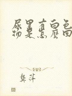 尿里有白色沉淀物是怎么回事