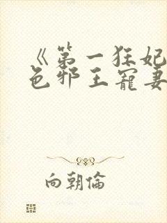 《第一狂妃:绝色邪王宠妻无度》