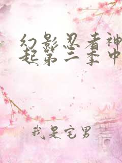 幻影忍者神龙崛起第二季中文版