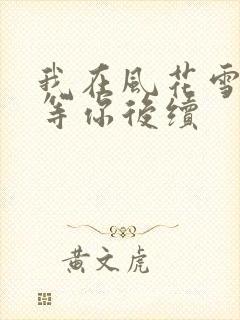 我在风花雪月里等你后续
