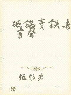 砸锅卖铁去上学 有声