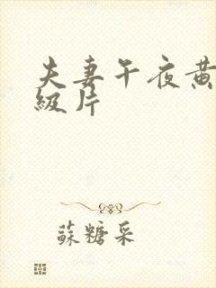 夫妻午夜黄色一级片