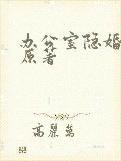 办公室隐婚小说原著