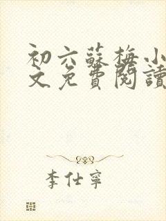 初六苏梅小说全文免费阅读笔趣阁