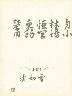 楚东恒林月为主角的官场小说名字