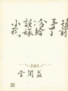 小说:分手后,我嫁给了前男友的小叔