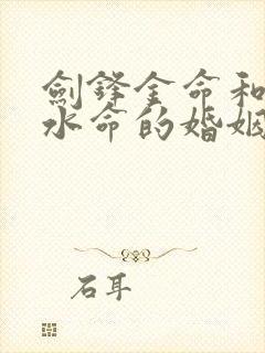 剑锋金命和大海水命的婚姻如何