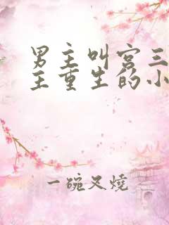 男主叫宫三爷女主重生的小说