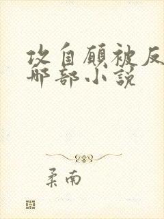 攻自愿被反攻是哪部小说