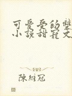 可爱受的双男主小说甜宠文