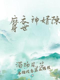 麻衣神婿陈黄皮身世