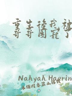 重生后我被四个哥哥团宠了txt下载