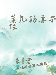 叶凡的妻子有几位