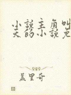 小说主角叫叶凌天的小说免费阅读