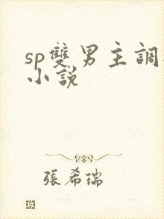 sp双男主调教小说