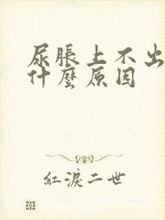 尿胀上不出来是什么原因