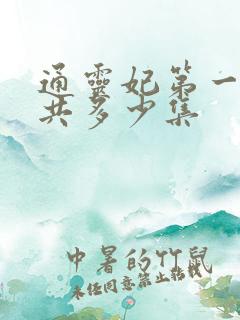 通灵妃第一季一共多少集