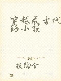 穿越成古代王爷的小说