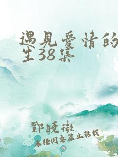 遇见爱情的利先生38集