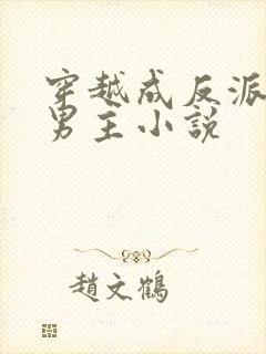 穿越成反派的双男主小说