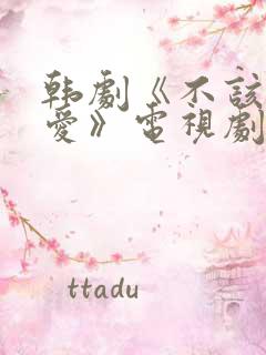 韩剧《不该有的爱》电视剧