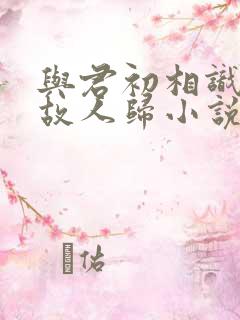 与君初相识犹似故人归小说