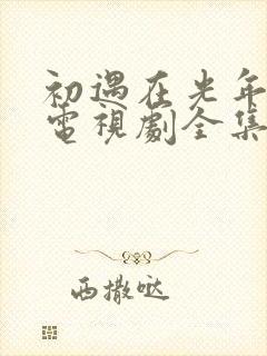 初遇在光年之外电视剧全集免费观看