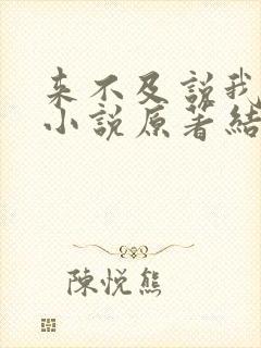 来不及说我爱你小说原著结局