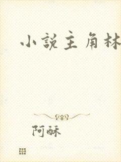 小说主角林