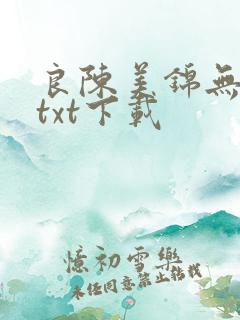 良陈美锦无删减txt下载