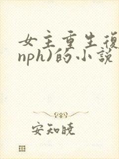 女主重生复仇(nph)的小说