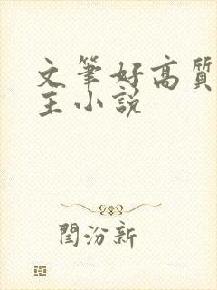 文笔好高质量女主小说