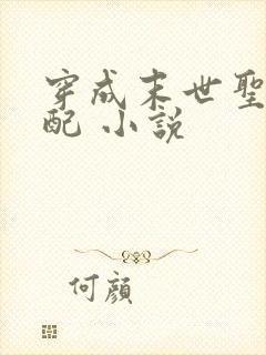 穿成末世圣母女配 小说