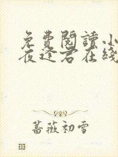 免费阅读小说此夜逢君在线阅读全文