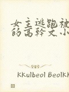 女主逃跑被捉回的高干文小说