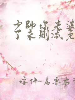 少帅你老婆又跑了未删减免费阅读