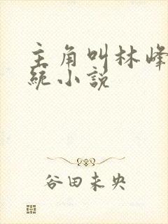 主角叫林峰的系统小说