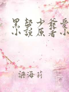 黑帮少爷爱上我小说原著小说